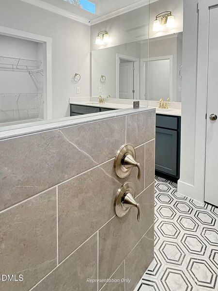 Raleigh Super Shower