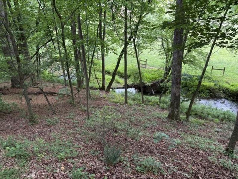 Natural landscape and outdoor views near in Ellijay (Image 48). Natural landscape and outdoor views near in Ellijay (Image 48).