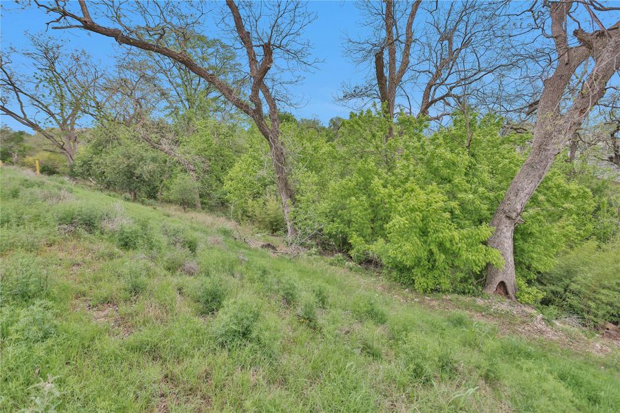 Natural landscape and outdoor views near  in New Braunfels (Image 18).