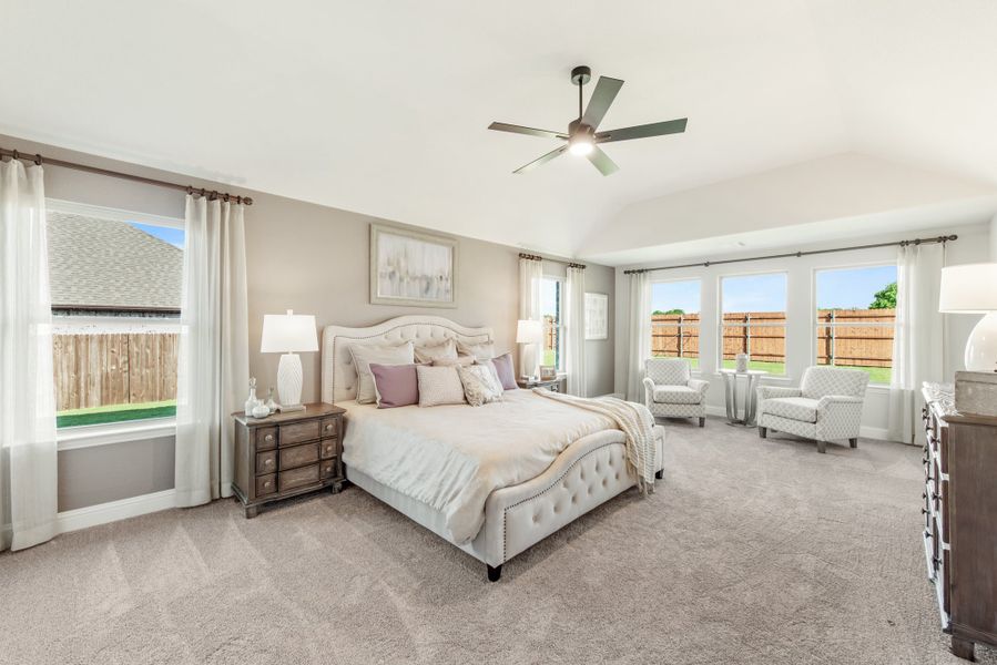 Spacious master bedroom with tufted king bed, ceiling fan, carpet floors, and large windows with backyard views