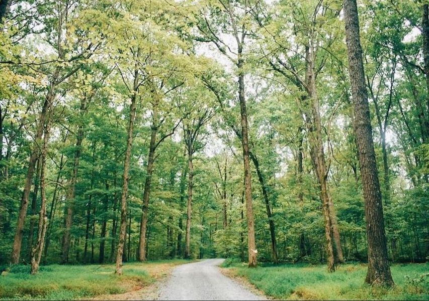 Montgomery Bell State Park offers so much to do, hiking, biking, boating, swimming, camping, restaurants, lounge, meeting room, event places, cabins and more.  All of these in 6 miles from your new home.