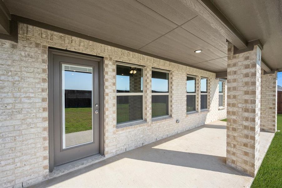 733 Scarlet Sage- Back-3 733 Scarlet Sage- Back-3