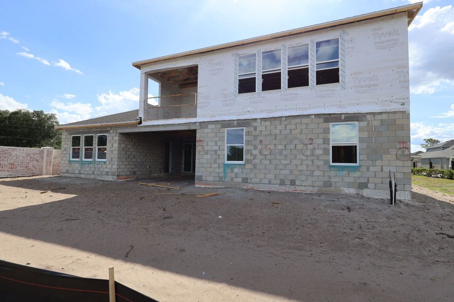Back Exterior
