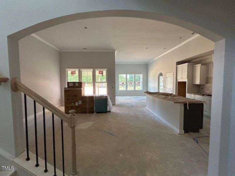 IMG_4211 (Medium) IMG_4211 (Medium)