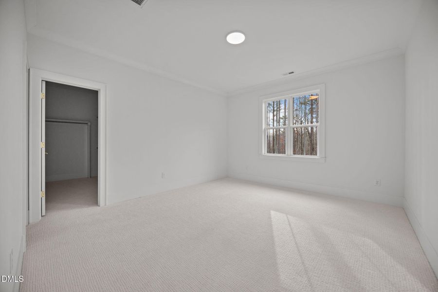 35-web-or-mls-IMG_8498