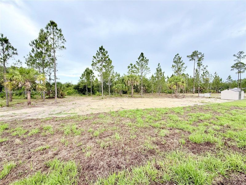 Natural landscape and outdoor views near  in Lehigh Acres (Image 59).