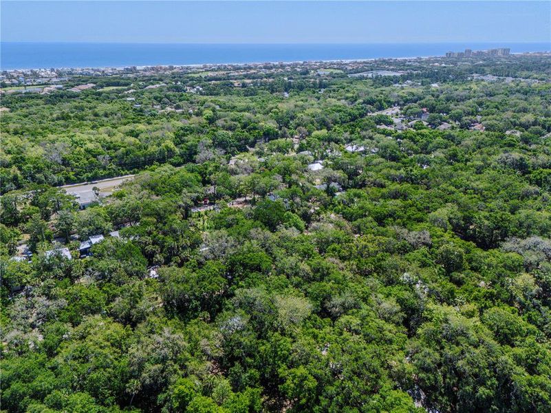 Natural landscape and outdoor views near  in Palm Coast (Image 64).