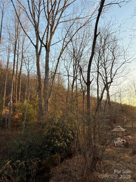 Natural landscape and outdoor views near in Mount Airy (Image 19). Natural landscape and outdoor views near in Mount Airy (Image 19).