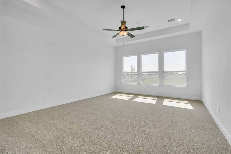 Carpeted spare room with a raised ceiling and ceiling fan