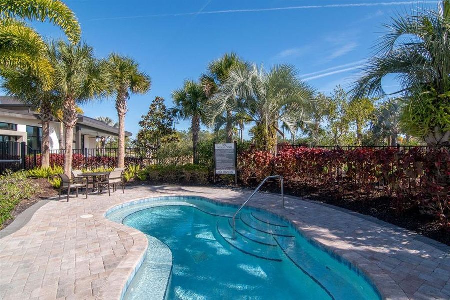 Community amenities in River's Edge, Wesley Chapel (Image 52).