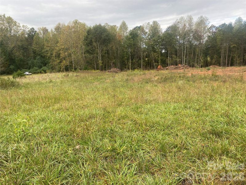 Natural landscape and outdoor views near  in Forest City (Image 9).