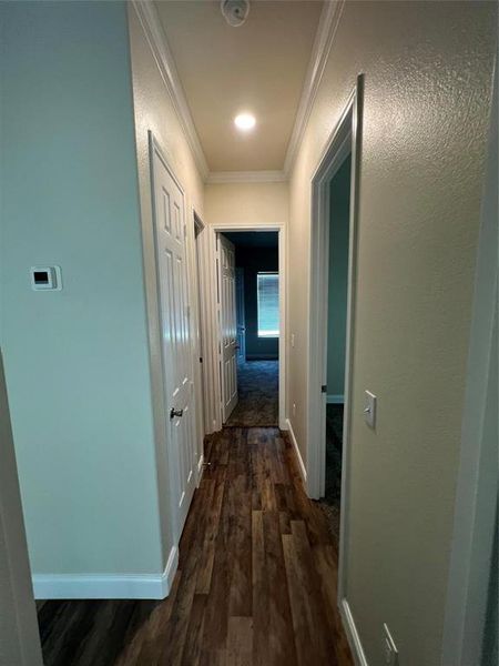 Hallway featuring crown molding and dark wood-type flooring