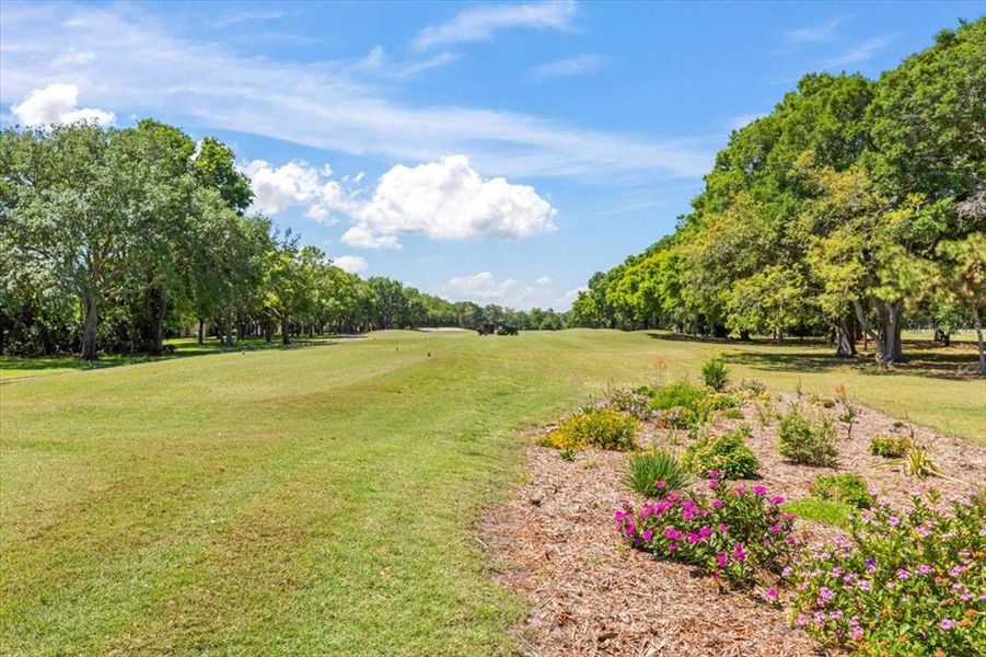 Natural landscape and outdoor views near Windchase at Halifax Plantation in Ormond Beach (Image 62). Natural landscape and outdoor views near Windchase at Halifax Plantation in Ormond Beach (Image 62).