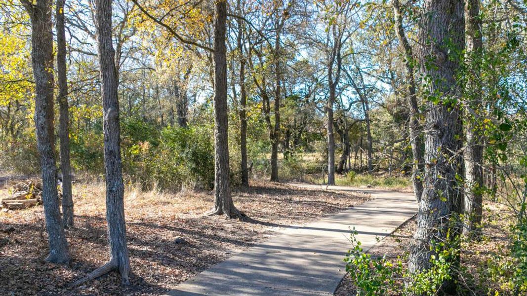 Natural landscape and outdoor views near The Colony in Bastrop (Image 9).