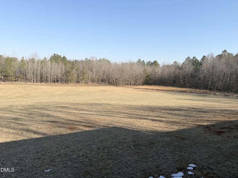 Joy_20260210_152225_213_photo