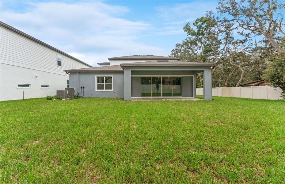 Spacious Backyard Spacious Backyard