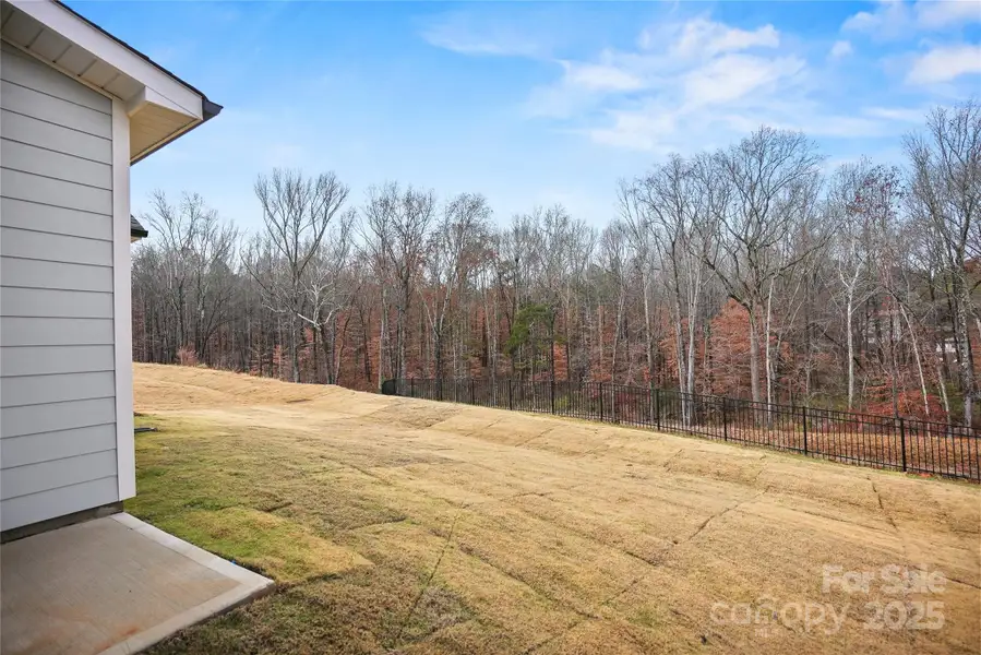 Exterior details and patio area of a home in Forest Creek, Waxhaw (Image 4).