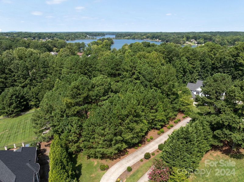 Mature trees on the homesite