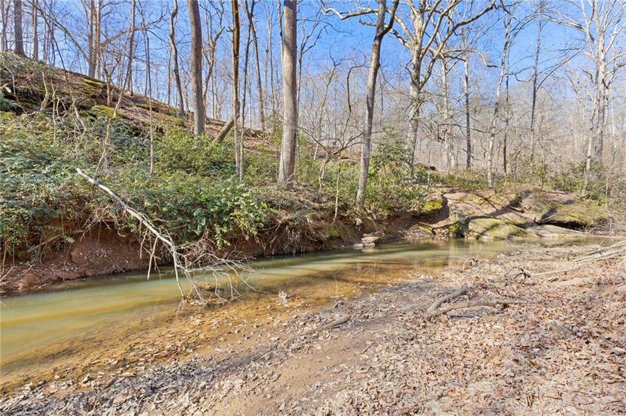 Natural landscape and outdoor views near  in Gainesville (Image 63).