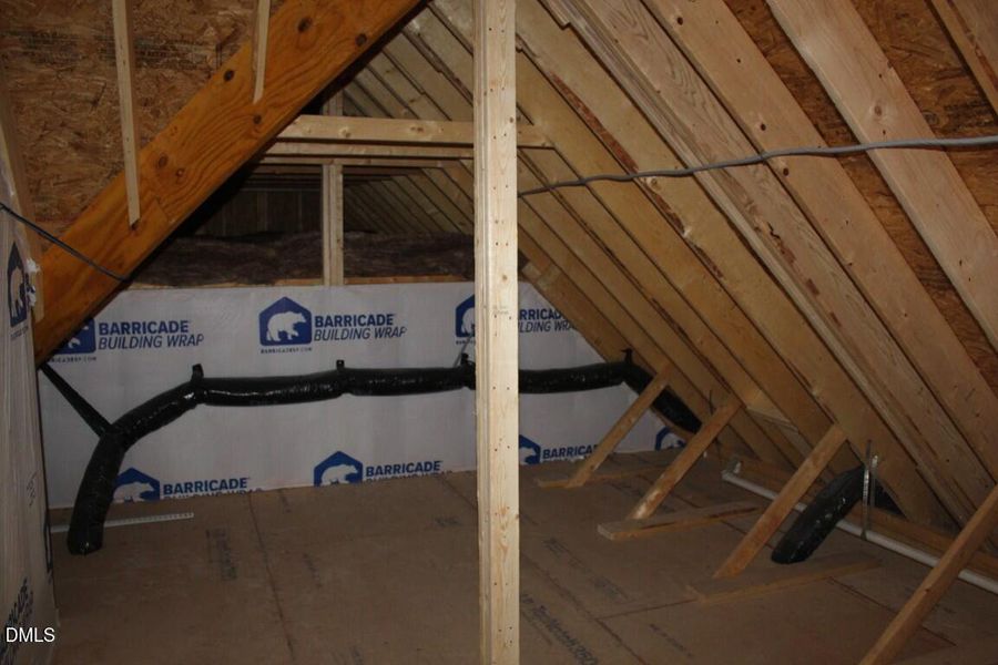 IMG_6966 (Medium) IMG_6966 (Medium)