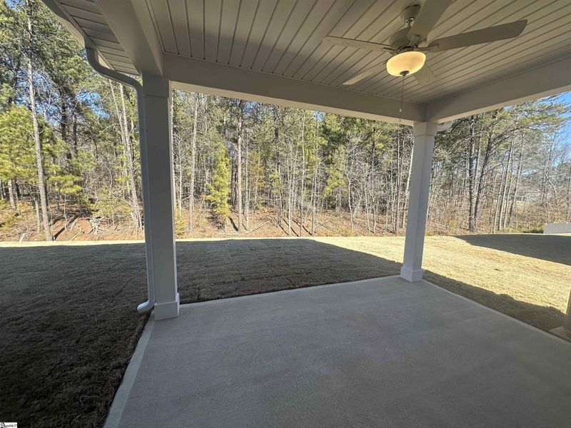Exterior details and patio area of a home in Shiloh Trail, Wellford (Image 3).