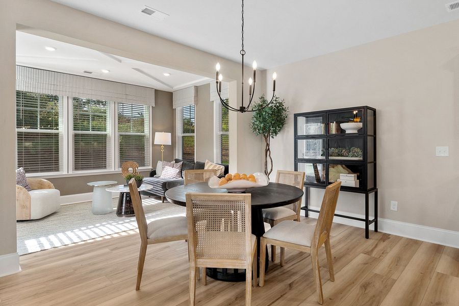 Representative furnished interior of a home built from the Webster II - Vanguard Collection by Mungo Homes in Windsor Forest, Anderson (Image 6).