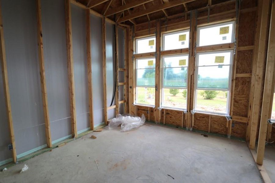 Spacious, unfurnished interior of a new home in Harvest Green 45', Richmond (Image 22).