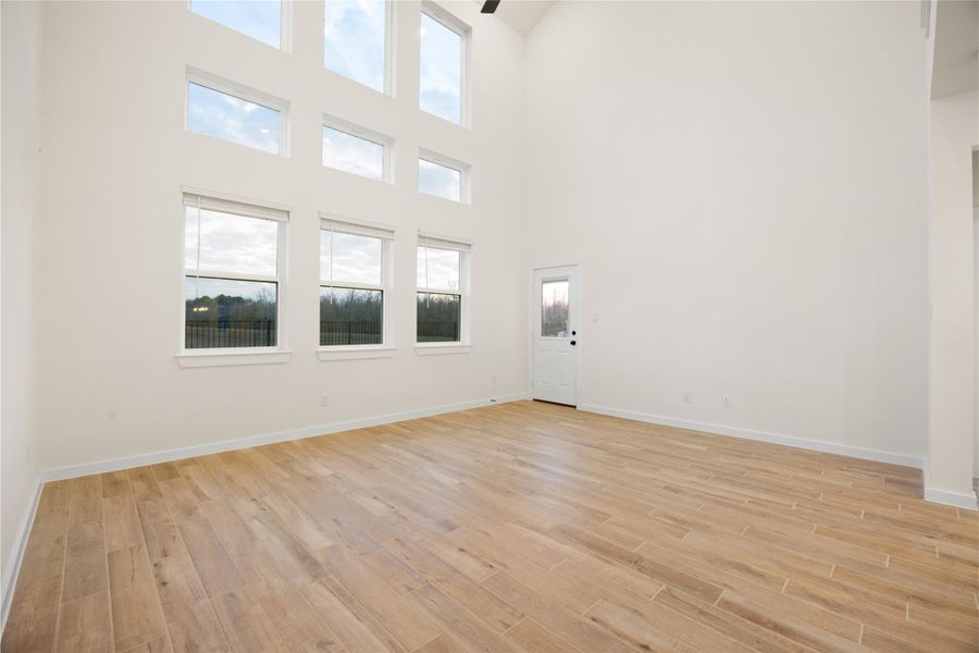 ALL the natural lighting coming in from this wall of windows ALL the natural lighting coming in from this wall of windows