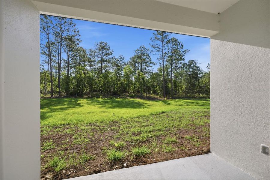 Exterior details and patio area of a home in , Dunnellon (Image 4). Exterior details and patio area of a home in , Dunnellon (Image 4).