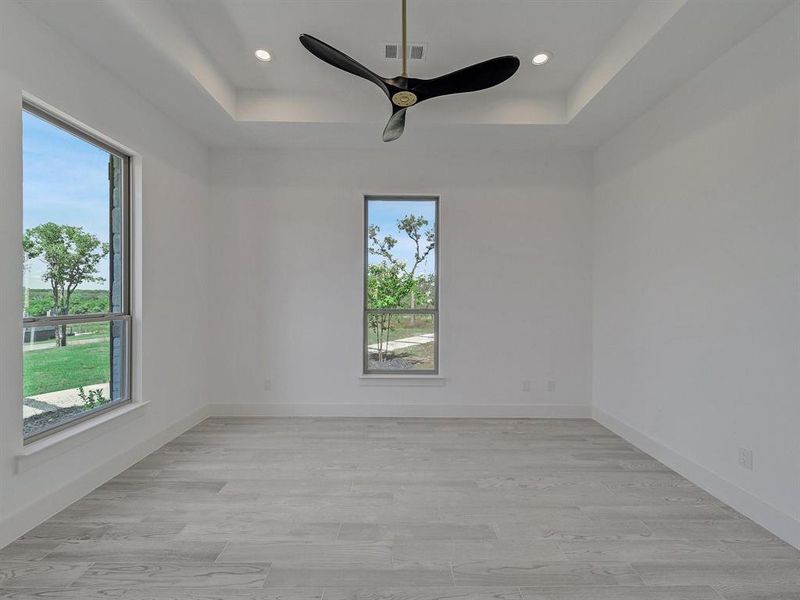 Unfurnished room with plenty of natural light, a tray ceiling, ceiling fan, and recessed lighting