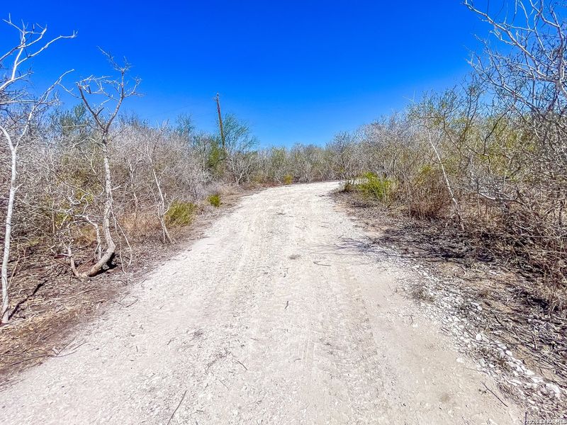 Natural landscape and outdoor views near  in Beeville (Image 13).