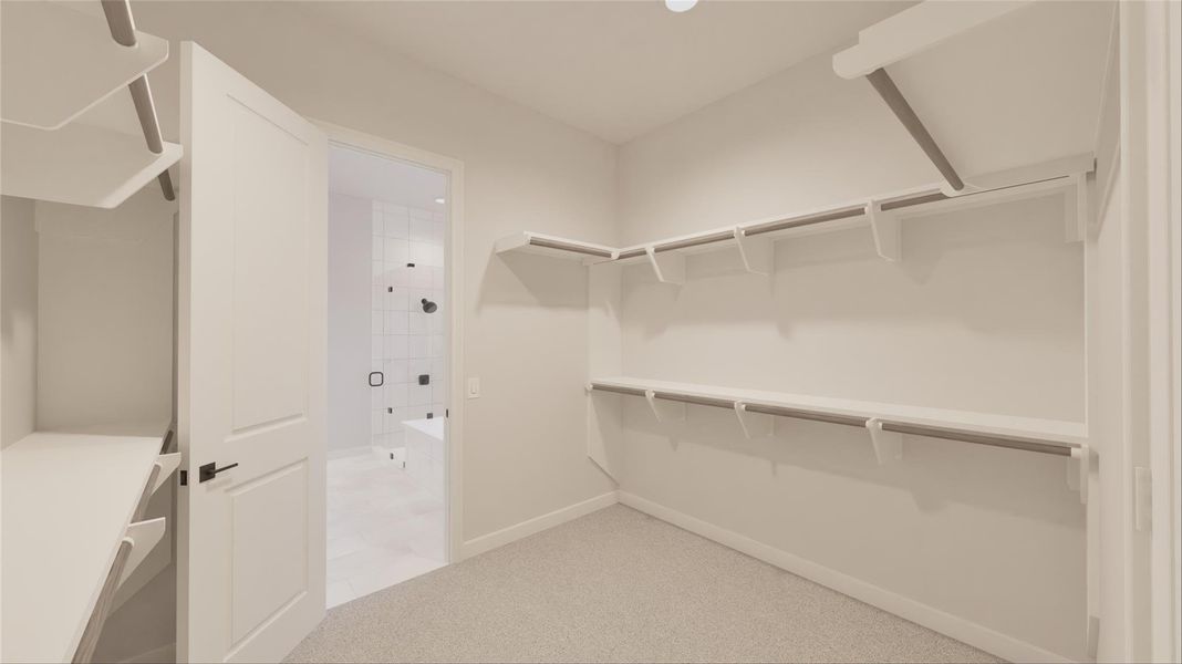 Representative Photo