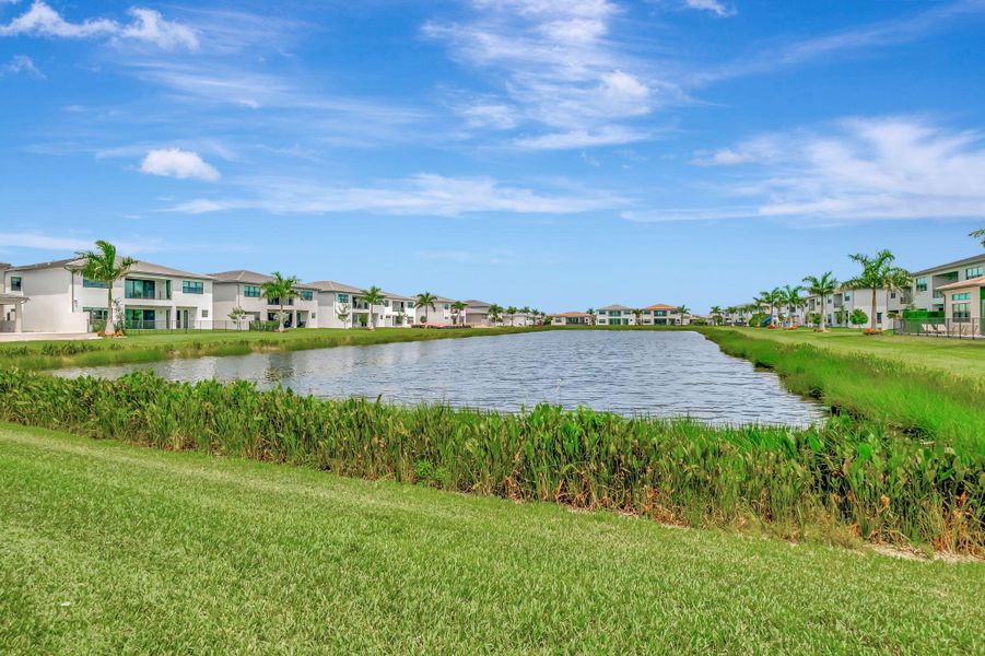 Natural landscape and outdoor views near  in Boca Raton (Image 61).