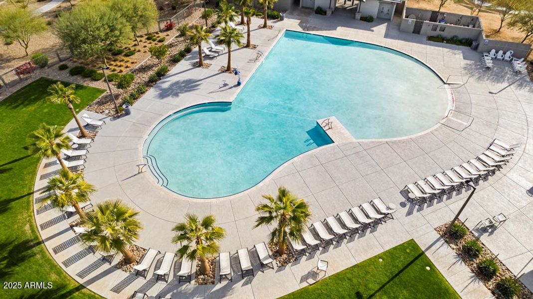 Community Photo Community Photo