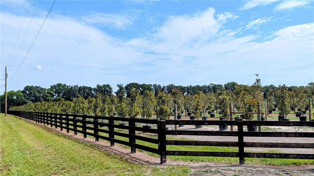 Natural landscape and outdoor views near  in Wauchula (Image 40).