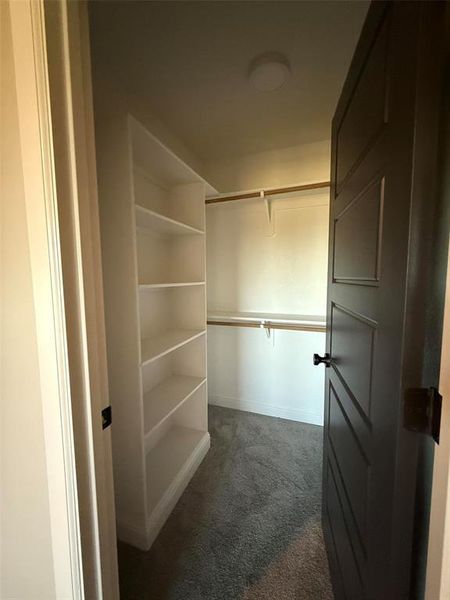 Walk in closet with dark colored carpet Walk in closet with dark colored carpet