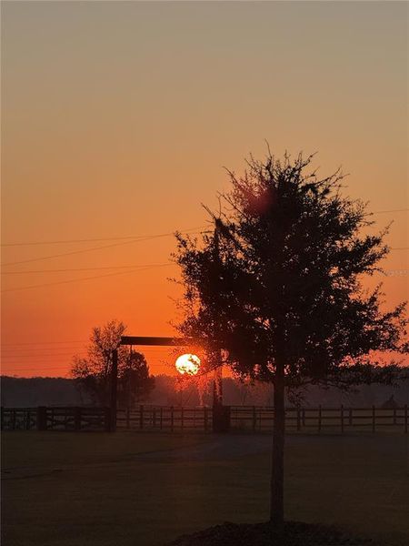 Natural landscape and outdoor views near  in Dade City (Image 63).