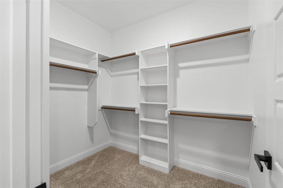 Spacious closet featuring light colored carpet