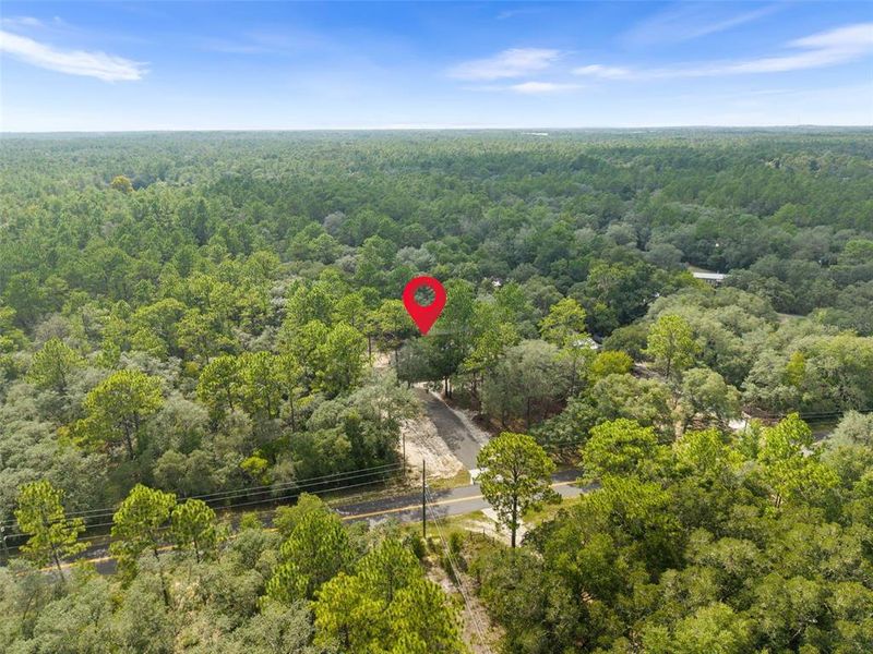 Natural landscape and outdoor views near  in Dunnellon (Image 30).