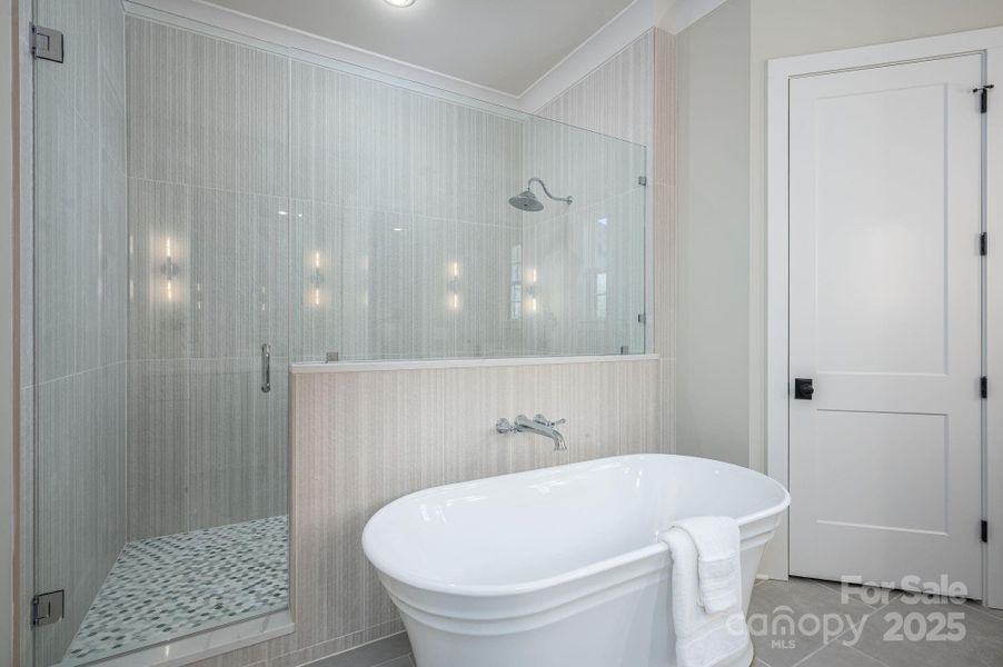 Furnished interior view inside a new home in , Belmont (Image 34).