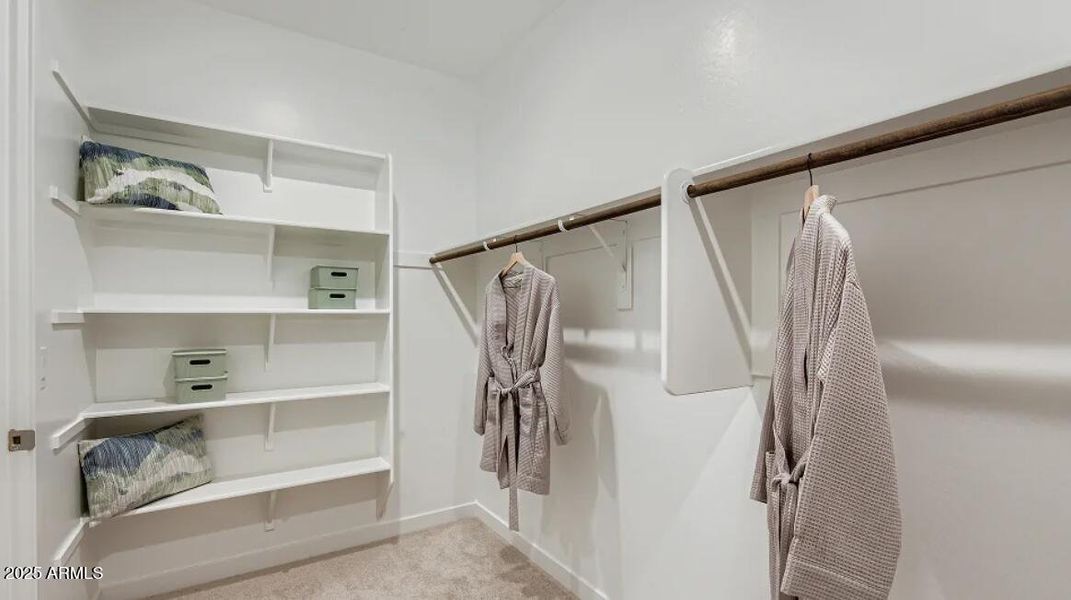 Owners Walk in Closet