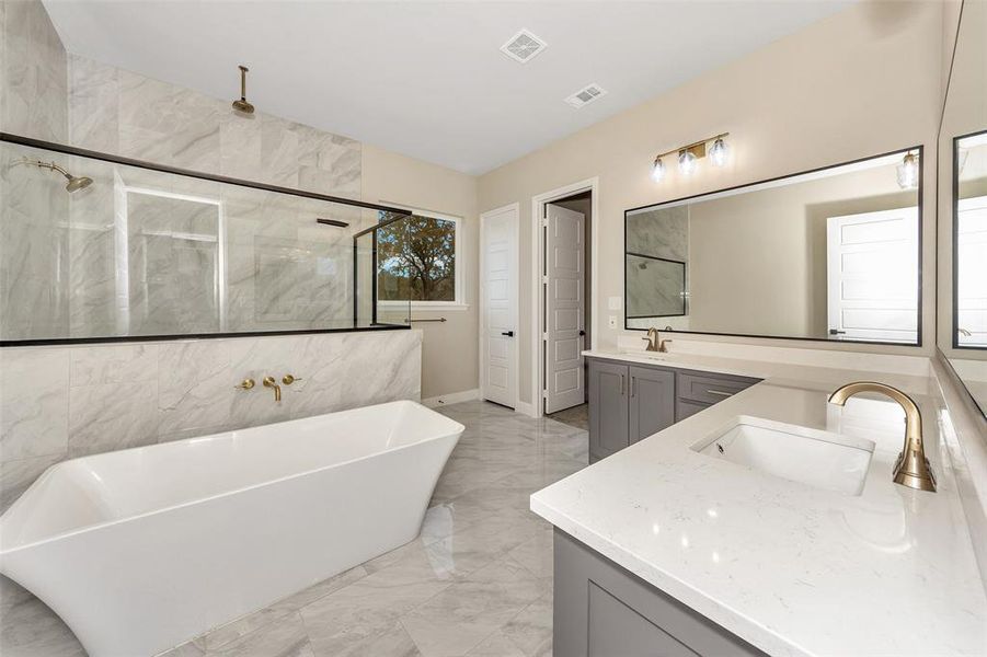 Bathroom with vanity and shower with separate bathtub