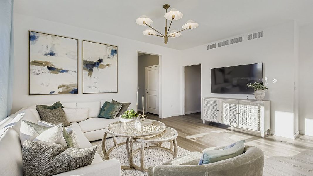 3504 Orchid Great F1 2of2