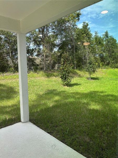 Exterior details and patio area of a home in Aspire at Palm Coast, Palm Coast (Image 26).