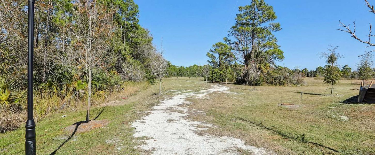 Walking Trail