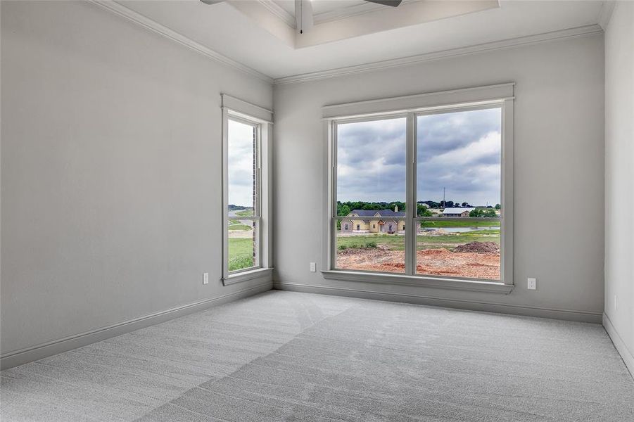 Spare room featuring light carpet, plenty of natural light, and crown molding