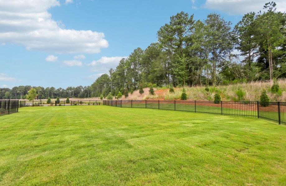 Natural landscape and outdoor views near Kendall Grove in McDonough (Image 13).