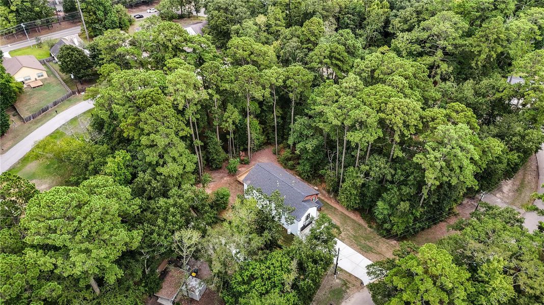 Nestled in a serene, wooded setting, this charming home offers privacy and tranquility with lush greenery enveloping the property.