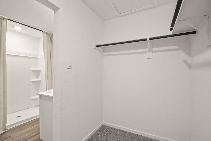 Spacious, unfurnished interior of a new home in Sunset Valley, Hockley (Image 14).