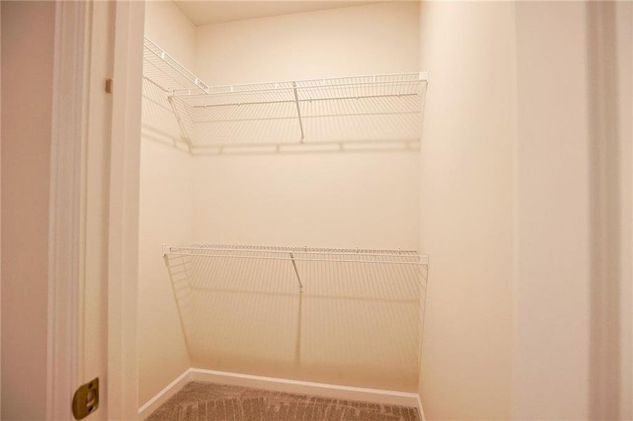 Spacious, unfurnished interior of a new home in , Auburn (Image 24).